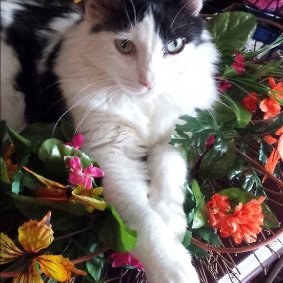 Meet your Posher, Michelle - Picture 5 of 8